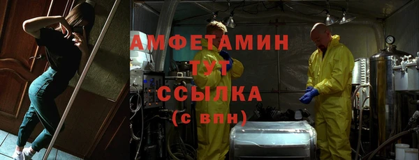 крисы Каменногорск