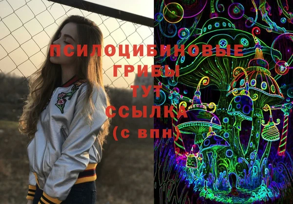 прущий лед Каменск-Шахтинский