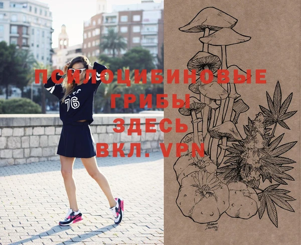 2c-b Каменка