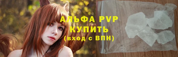 крисы Каменногорск