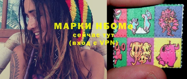 2c-b Каменка