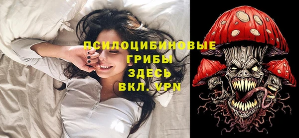 2c-b Каменка