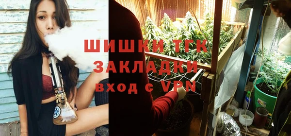 крисы Каменногорск