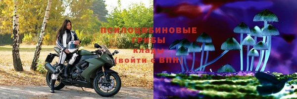 крисы Каменногорск