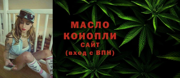 крисы Каменногорск
